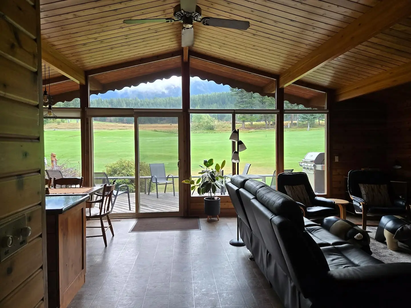 Living room from the kitchen