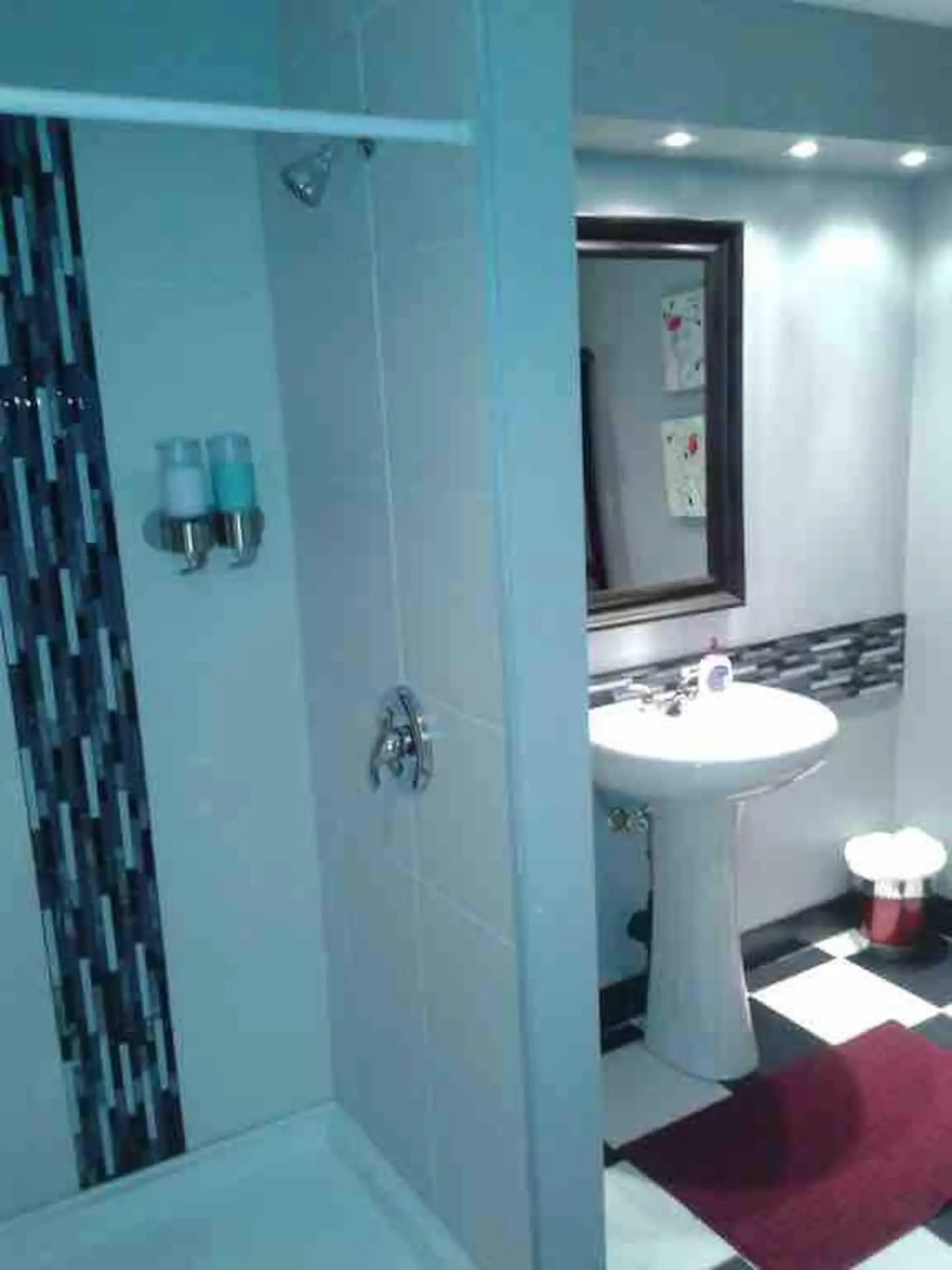 Downstairs bathroom vanity and shower