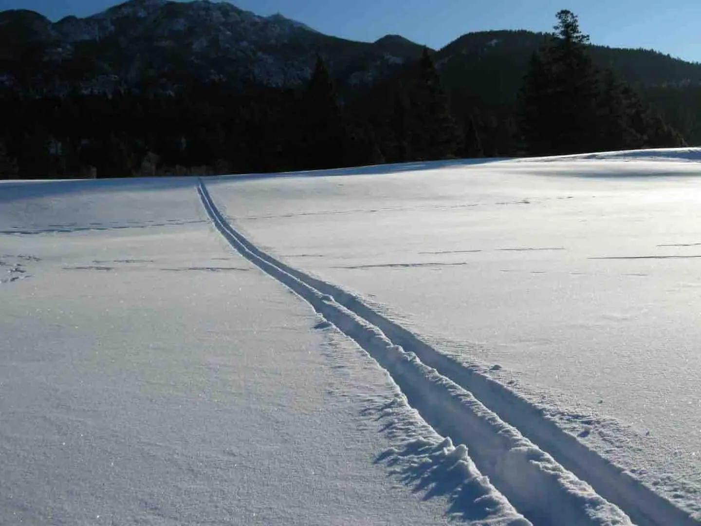 Snow-covered trail in the Columbia Valley