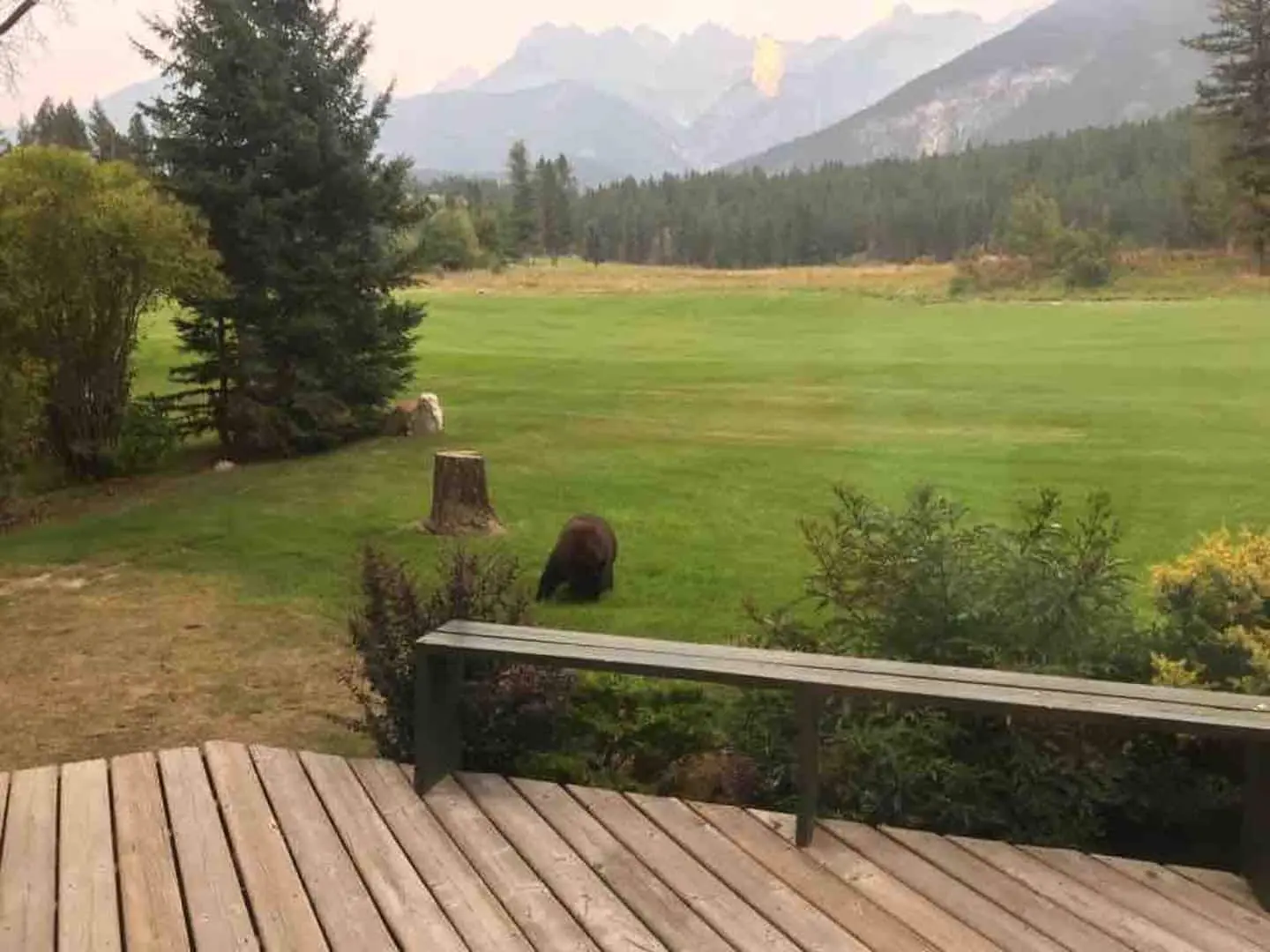 Mountain view from the cabin deck
